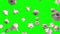 garlic particle green screen loop animation