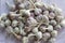 Garlic pile close up image. Bulbs of vegetables are on white textured fabric as background. Seasoned summer or autumn harvest of