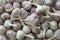 Garlic pile close up image. Bulbs of vegetables are on white textured fabric as background. Seasoned summer or autumn harvest of