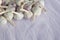 Garlic pile close up image. Bulbs of vegetables are on white textured fabric as background. Seasoned summer or autumn harvest of