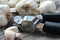 Garlic Press and Garlic Bulb Close Up on Rustic Wood