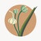 Garlic Scapes Vegetable Cute Playful Flat Icon by Generative AI