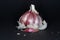 Garlic several times and produced the highest possible depth of field with Focus Stacking