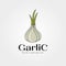 Garlic and shoot logo vector symbol illustration design, garlic spices icon symbol design