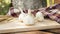 Garlic. sliced garlic, garlic clove, garlic bulb in wooden bowl place on chopping block on vintage wooden background.