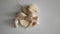 Garlic with a small texture typical of Indonesia
