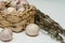 Garlic solo in a wicker basket. on a white background