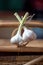 Garlic is tied to the bar for more complete drying