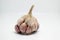 Garlic , tropical herbs plant on white background. Organic herbs good for health to reduce cholesterol and aroma therapy.