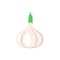 Garlic vegetable clipart simple icon. Garlic cartoon.