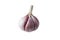 Garlic on white background. Isolated garlic. Solution against cold