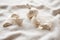 Garlic on white tablecloth, natural light photo. Eating garlic boosts the immune system, health, protects from cold flu, and