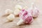 Garlic whole and cloves on a wooden rustic table