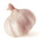 Garlic. Whole head of garlic.
