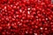 Garnet background. Pomegranate background. Juicy red pomegranate seeds. Natural fruity ingredients for healthy juices.