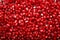 Garnet background. Pomegranate background. Juicy red pomegranate seeds. Natural fruity ingredients for healthy juices.