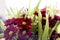 Garnet chrysanthemums with green leaves and blurred background