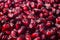 Garnet fruit seeds wallpaper. Pomegranate seeds natural background. Tropical fruit pattern