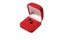 Garnet ring in red box