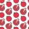 Garnet seamless pattern. Hand drawn fresh pomegranate. Vector sketch background. Color doodle wallpaper. Exotic tropical fruit.