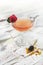 Garnished cocktail on white background