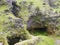 GaroÃ© Tree sacred place with holes, El Hierro, Canary Islands, Spain