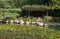 Garyu Bridge through the Soryu-ike pond in the Middle garden of Heian-jingu Shrine. Kyoto. Japan