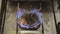 The gas burner burns with a blue flame.