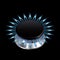 Gas flame from stove isolated on black vector