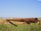 Gas pipeline through irrigation canal in a protective steel pipe