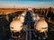 Gas storage sphere tanks in chemical plant, aerial view