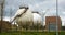 Gas tanks in El Prat del Llobregat, Barcelona