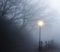 Gaslamp on a fog covered road at dawn.  Dead winter trees create silhouettes along the road