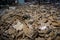 Gasmasks laying on the floor in the school of Pripyat, Chernobyl zone