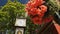 Gastown Steam Clock, Vancouver