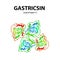 Gastricsin is a molecular chemical formula. Enzyme of the stomach, gastric juice. Infographics. Vector illustration