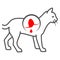 Gastritis in cat thin line icon, Diseases of pets concept, inflammation of stomach in cat sign on white background, sick