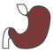 Gastritis solid icon, Human diseases concept, Chronic erosive inflammation sign on white background, Gastritis disease