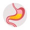 Gastritis Symptom Icon