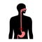 Gastroesophageal reflux disease