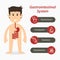 Gastrointestinal system and medical line icon