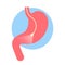 Gastroscopy icon. endoscope with light in stomach. Medical exam. inspection of stomach. digestive problems. Hose with