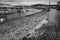 Gate 9 Squalicum Harbor after rain. View from Fisherman`s memorial at Zuanich Point Park. Black and white.