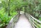 Gate and boardwalk in cypress forest