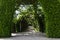 Gate of book hedges and an overgrown arch pergola as a footpath