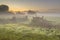 Gate and fences in Foggy farmland