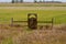 Gate into the Pasture