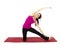 Gate Pose in Yoga
