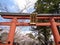 The gate shrine at nara park with cherry trees, march 2016