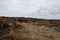 Gate standing on burnt heathland